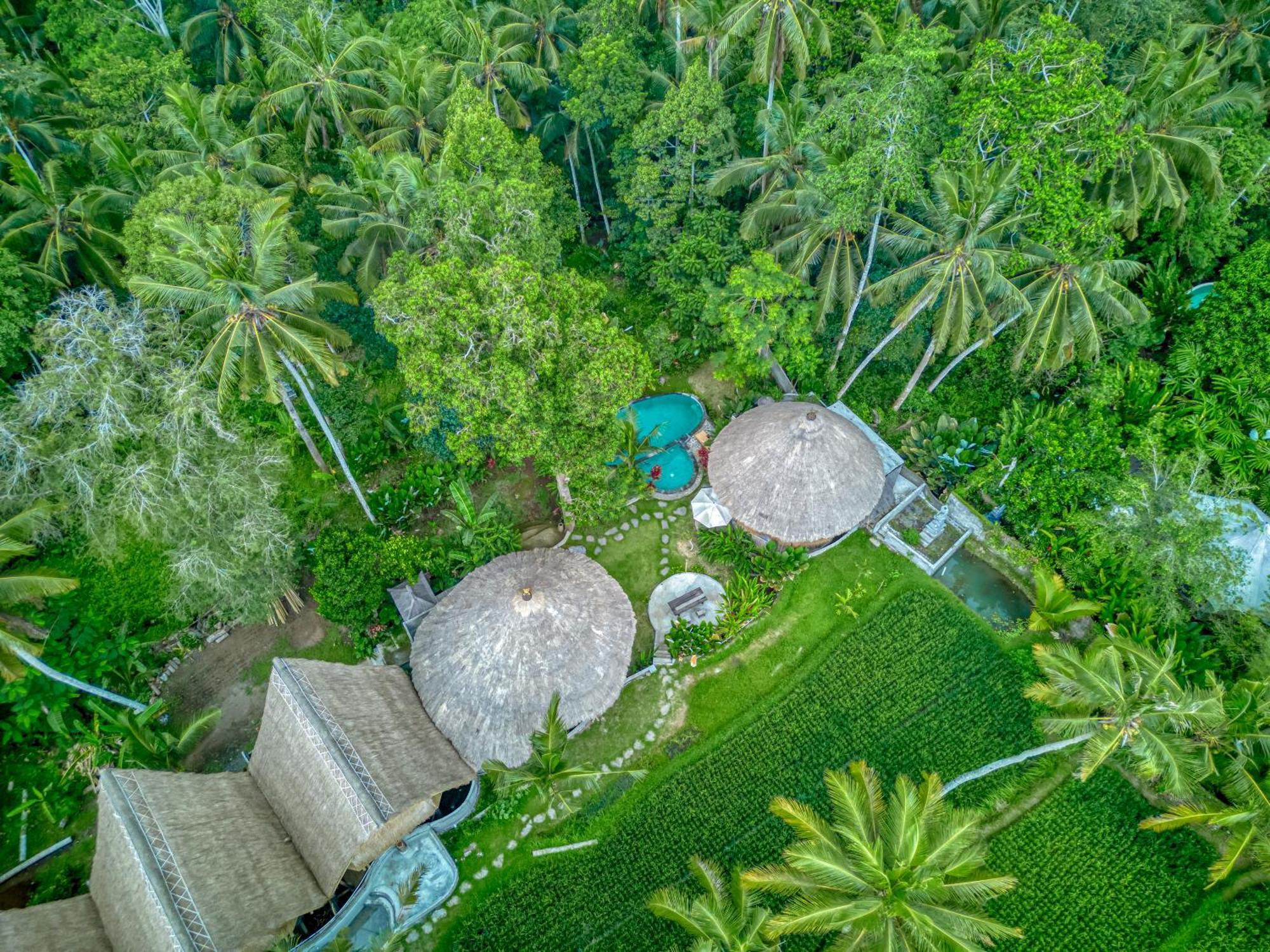 Bamboo Cabin Sanctuary By Nusantara Hospitality Ubud  Exterior photo